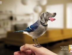 Witte Molen宠物粮食创意广告